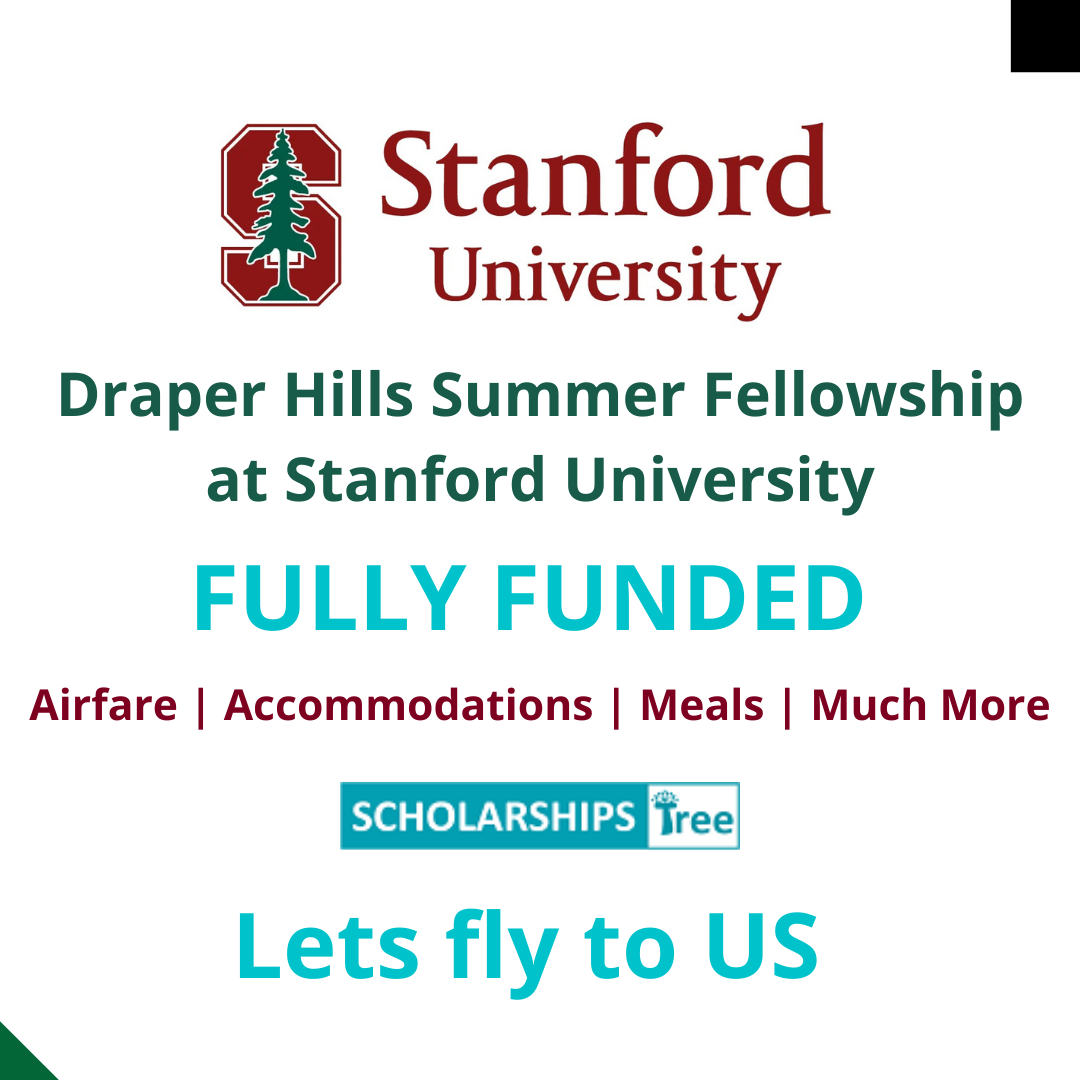 The Fisher Family Summer Fellows Program at Stanford University 2024